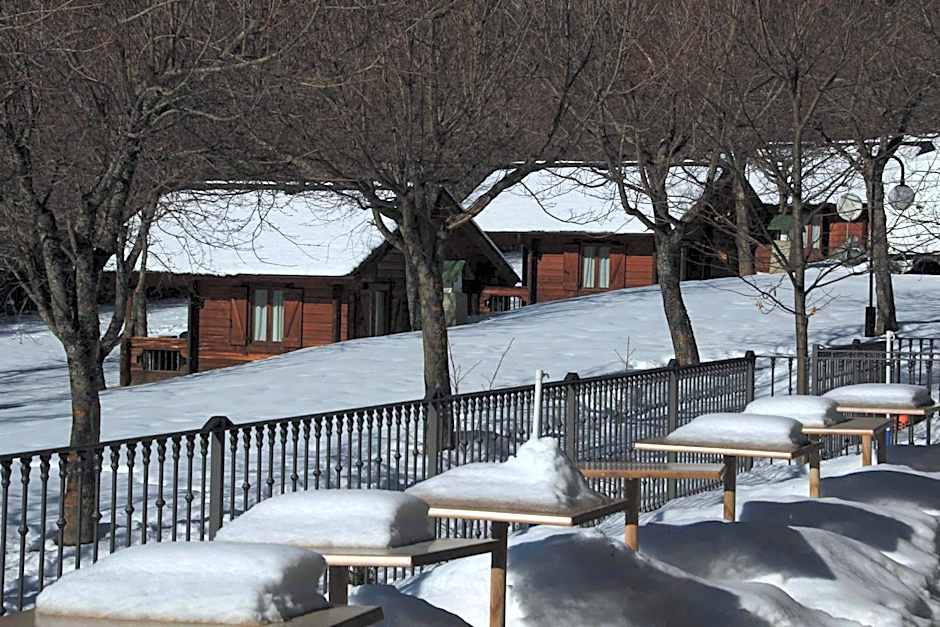 Hotel, Bungalows y Camping Viu