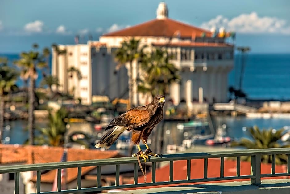 The Avalon Hotel in Catalina Island