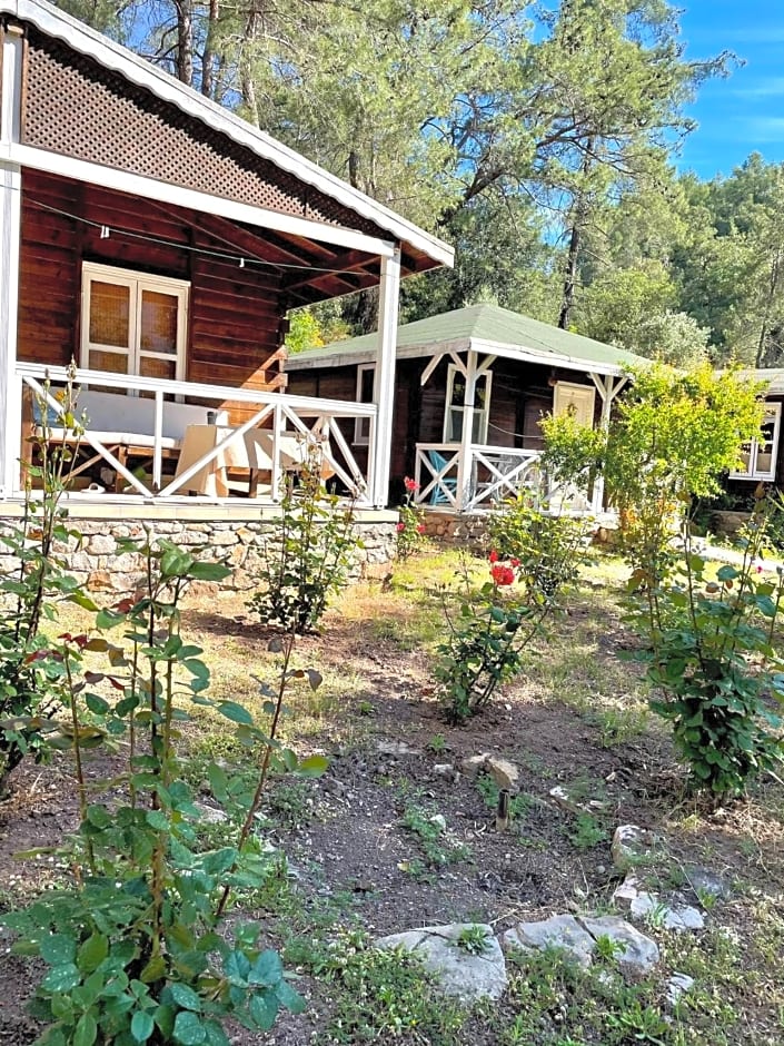 Olympos Angels Garden