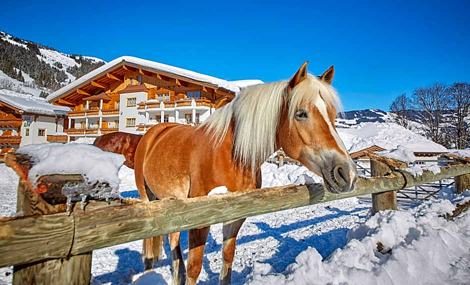 Bauernhof Hotel Oberschwarzach