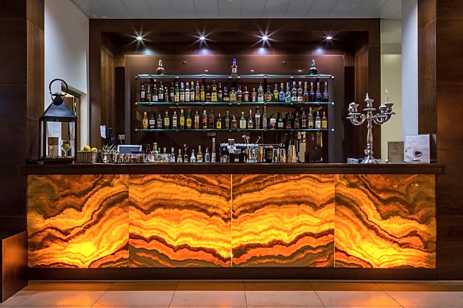 Palace Hotel Monte Real