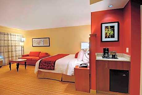 Suite, 1 Bedroom (1 King Bed and 1 Double Sofa Bed)