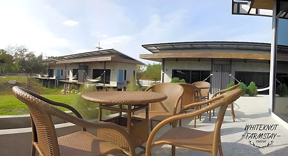 White Knot Khao Yai