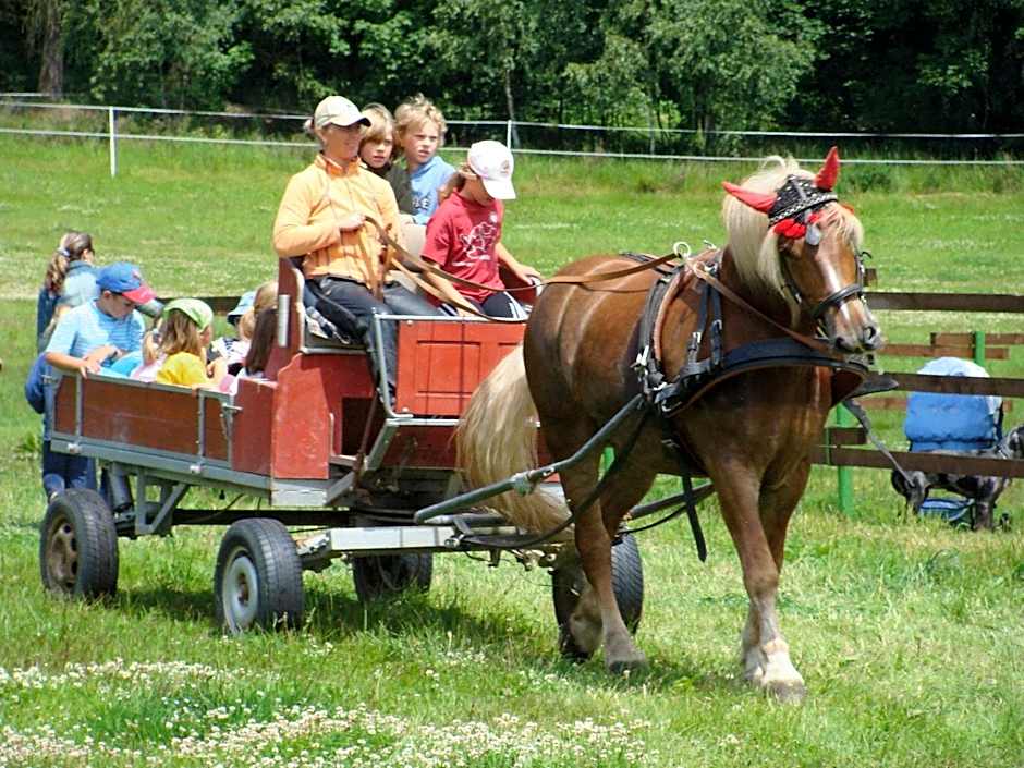 Wellness Hotel Anna Nejdek