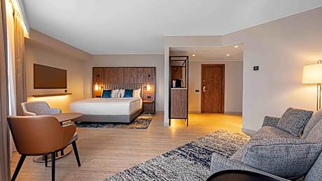 Junior King Suite with Free Spa Access