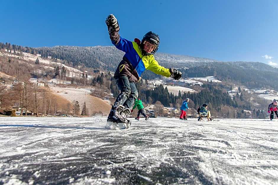 Hotel Guesthouse Dalnig