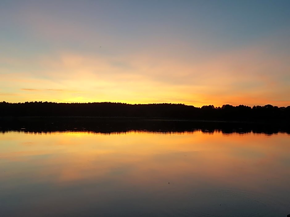 BORY TUCHOLSKIE SKÓRZENNO KO¿O OSIEKA