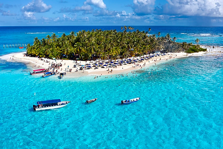 Sol Caribe Sea Flower