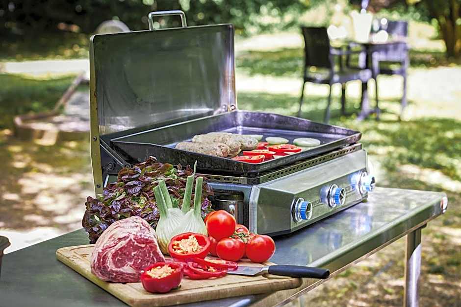 Logis Bagatelle - 51530 Dizy