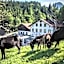 Gasthof Fallmühle