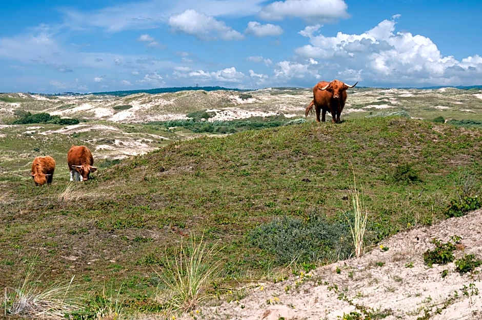 Strandhotel de Vassy