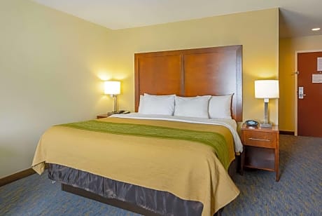 1 King Bed Suite Nonsmoking