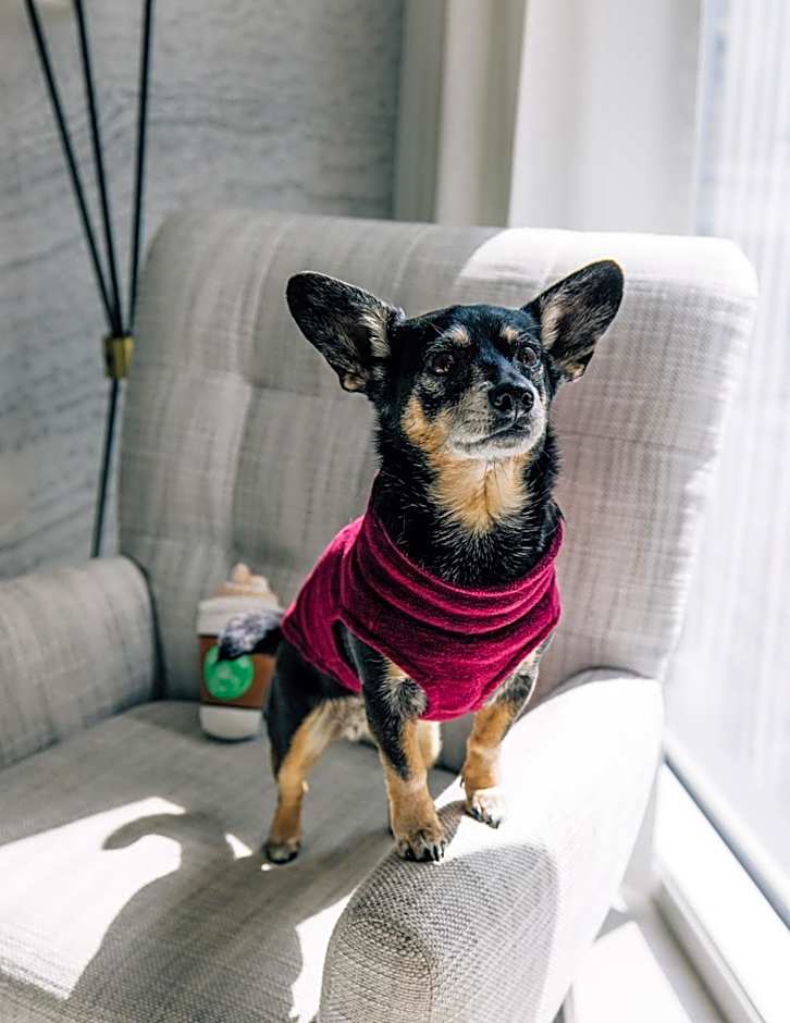 Le Meridien Denver Downtown