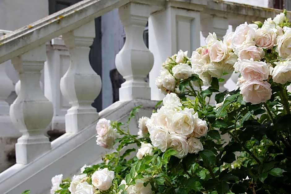 Blankenfeldes muiža