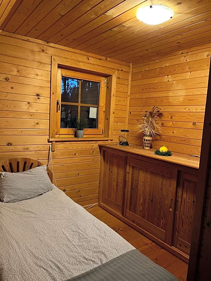 Domek z bali Tryszczyn nad Brdą