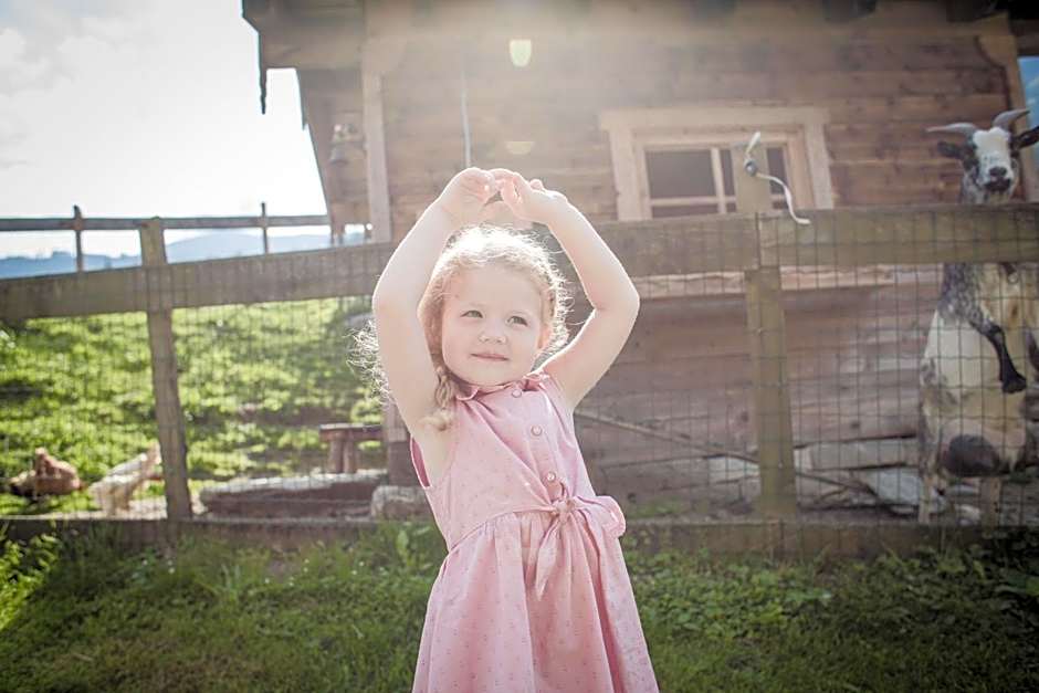 Hotel AlpenSchlössl