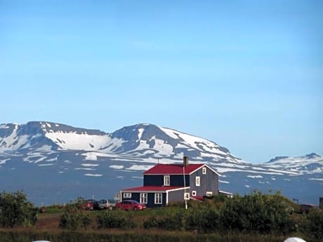 Húsey Hostel & Horsefarm