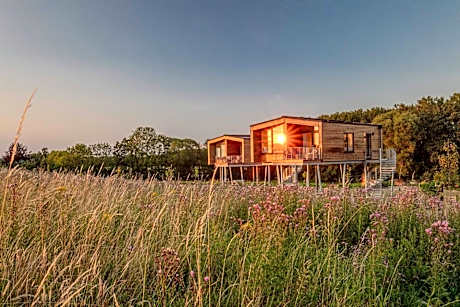 Ostsee Baumhaushotel - Auf Höhe der Baumkronen