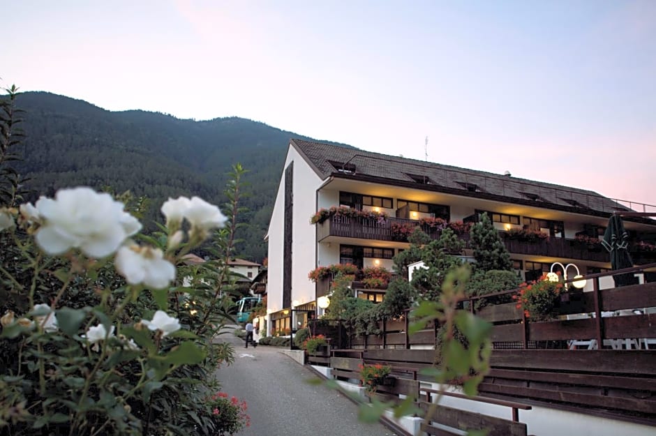 Pippo Hotel