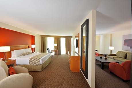 King Suite Non-smoking