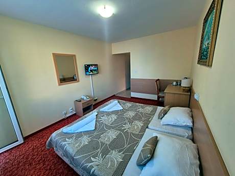 Economy Double Room with Balcony (2 Adults + 1 Child)