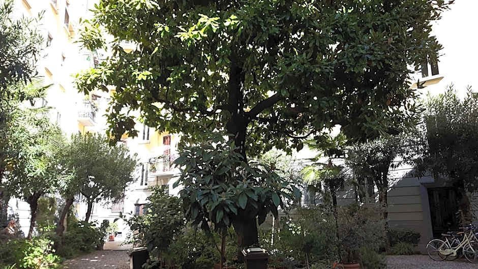 Bronzino House