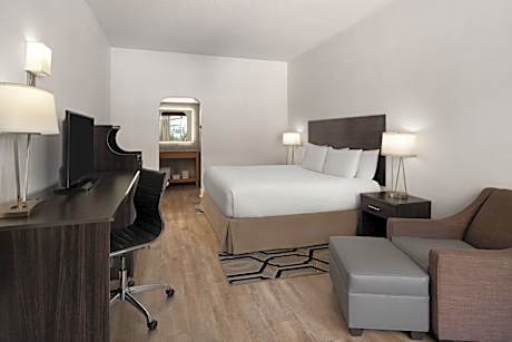 King Room with ADA Roll-In Shower - Disability Access/Non Smoking