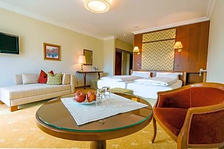 Superior Room with Lake View