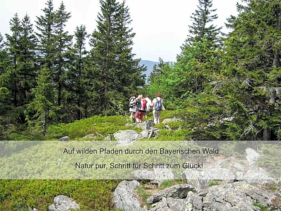 Hotel zur Linde - Bayerischer Wald - aktivCard mit 154 kostenfreien Leistungen - kostenloser Parkplatz