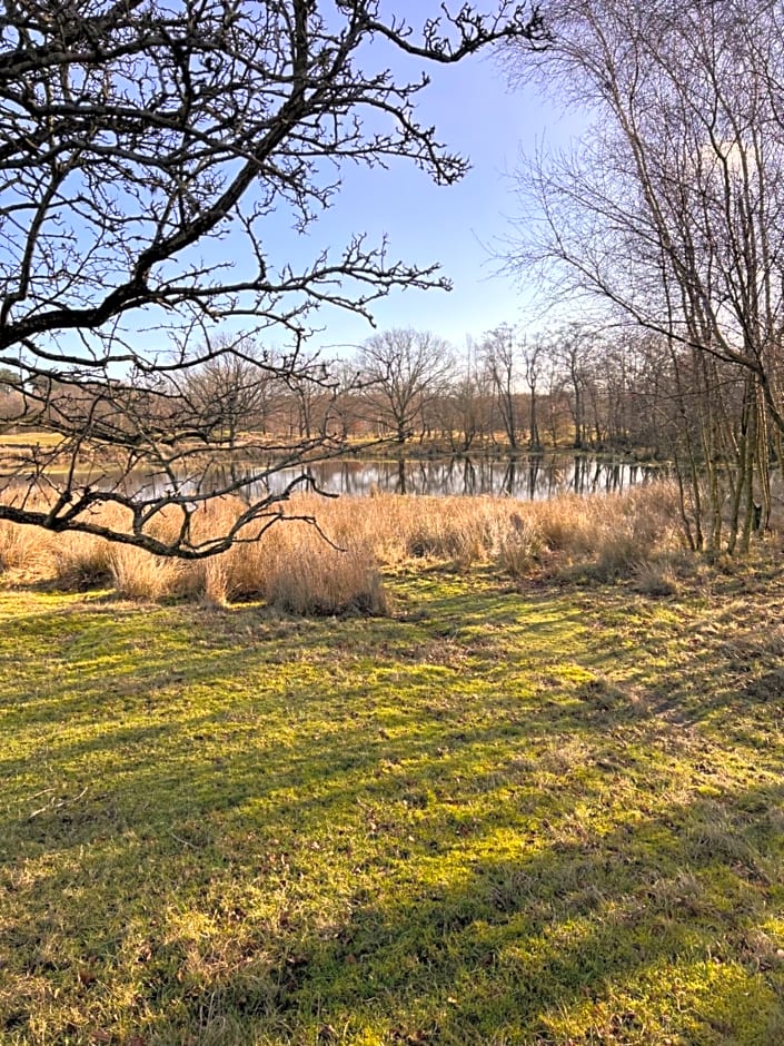 Bed&Breakfast Jonker