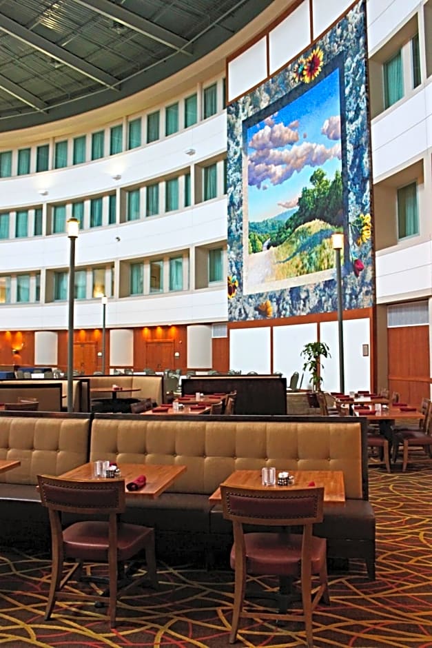Hilton Austin Airport