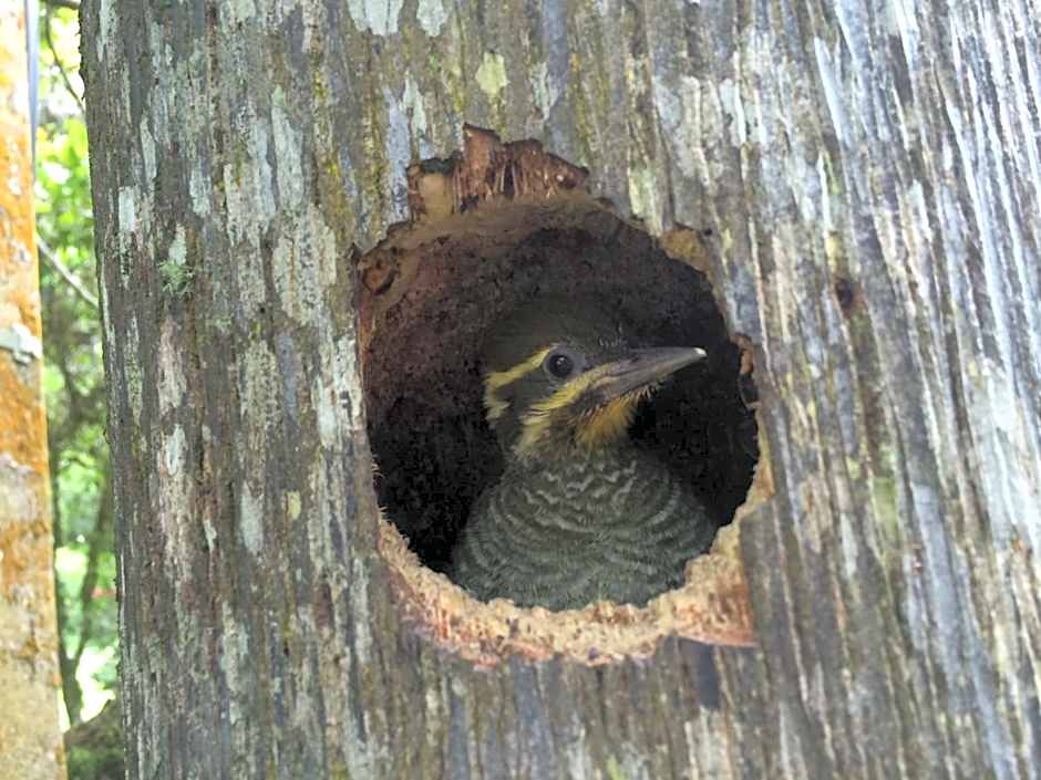 Filadélfia Hospedagens e Eventos