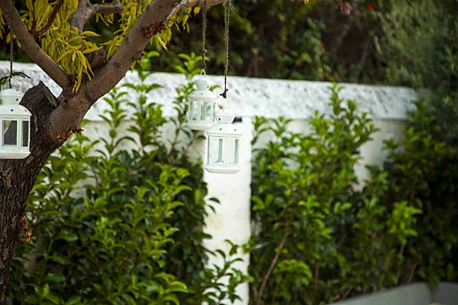 VILLA ADELAIDE SUITE & ROOM