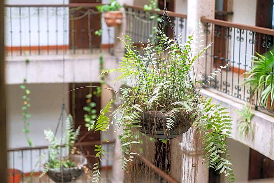 Hotel Don Quijote Plaza - Guadalajara Centro Historico
