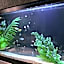 Hotel Lotus Koiwa (Adult Only)