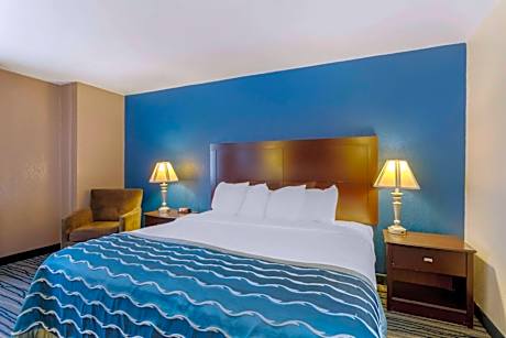 King Studio with Sofa Bed