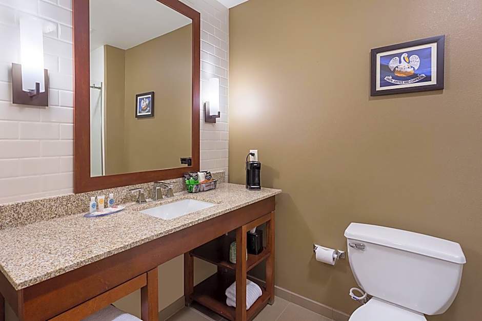 Comfort Inn & Suites Zachary