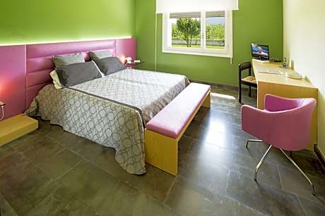 Standard Double Room for Single Use