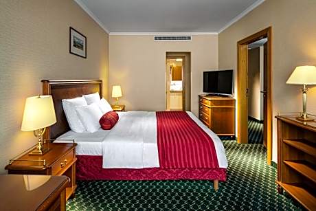 Deluxe One-Bedroom Apartment