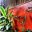 Aha Lanta Cozy Hostel