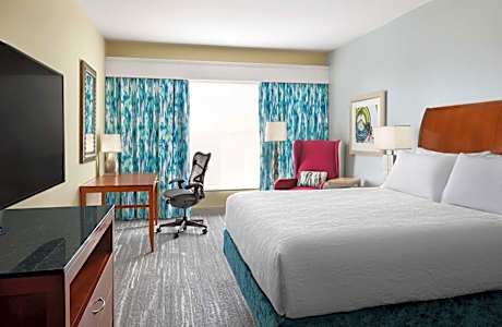 1 King Bed