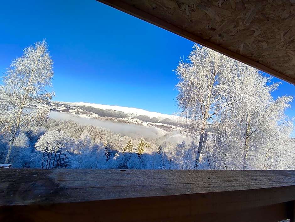 Cabana doi mesteceni