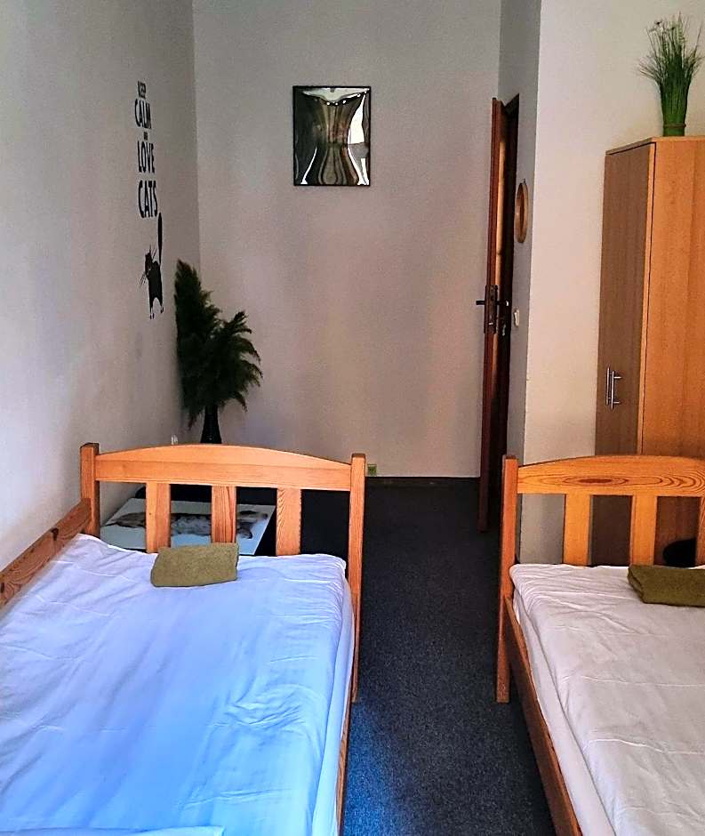 Green Cat Rooms