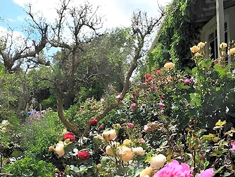 Olde Mill House Bed & Breakfast and Cycle Hire