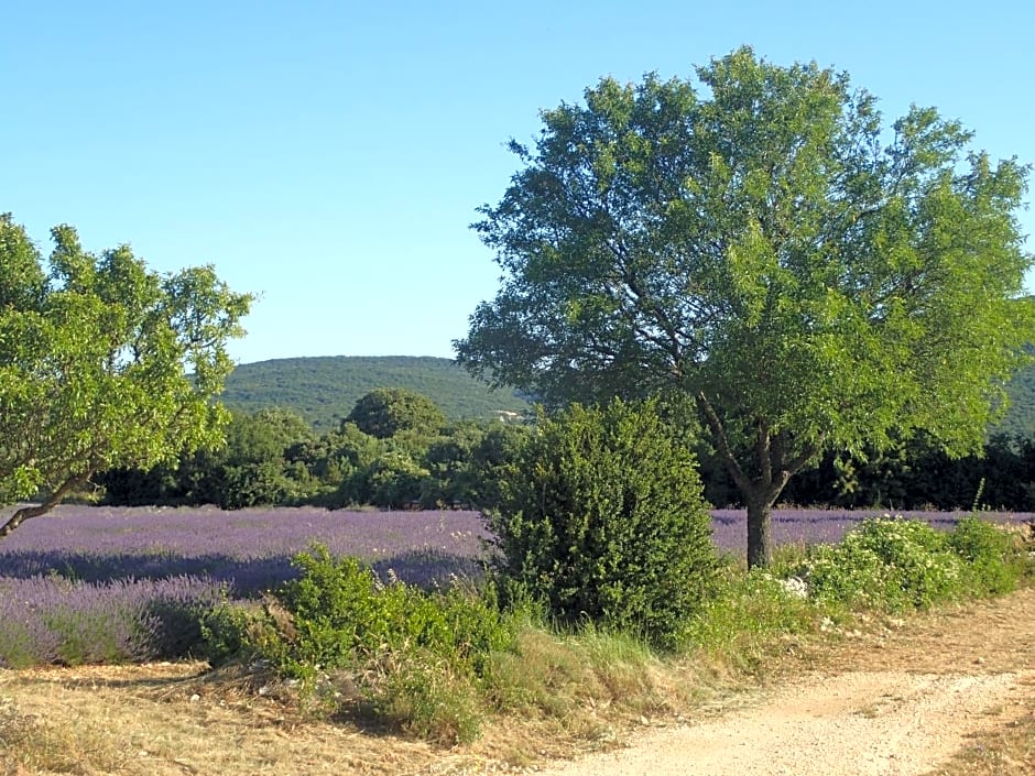 Le rocher de Sampzon