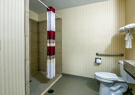 ADA Superior King Room Non-Smoking