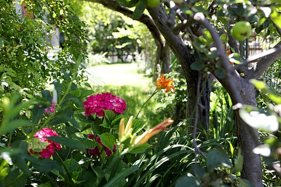 Le Rosier B&B e Appartamento