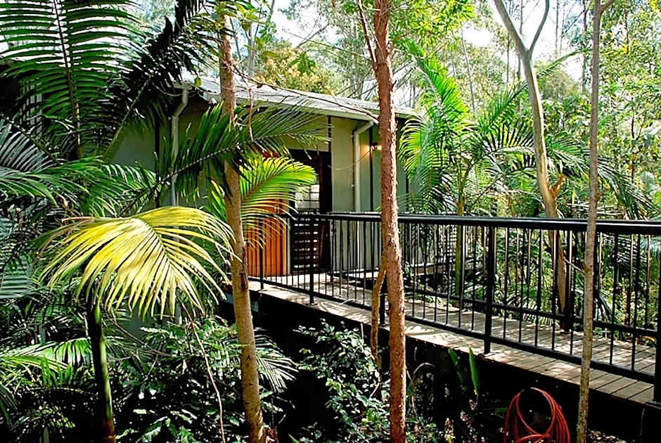 Ecoasis Mami Wata Rainforest Haven