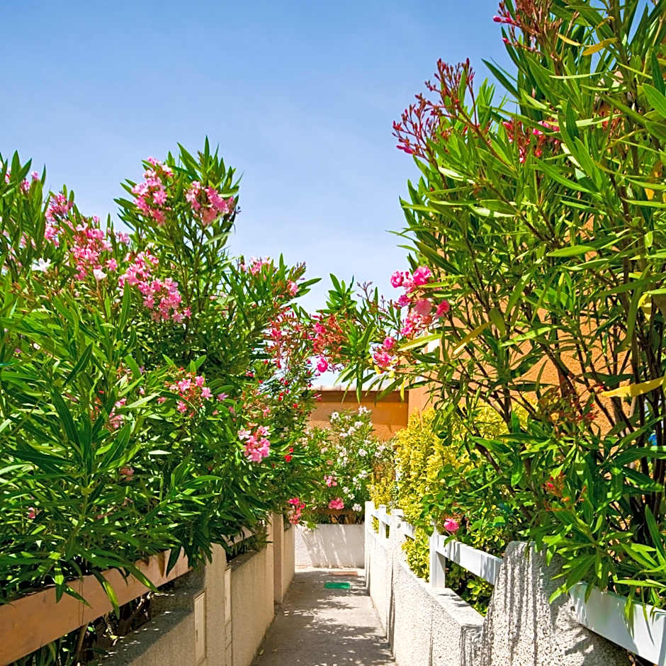 HOLIDAYLAND BAIE DES OLIVIERS VILLA 36m2 1chambre fermée 6 couchages ou VILLA 41M2 2chambres fermées 7 couchages