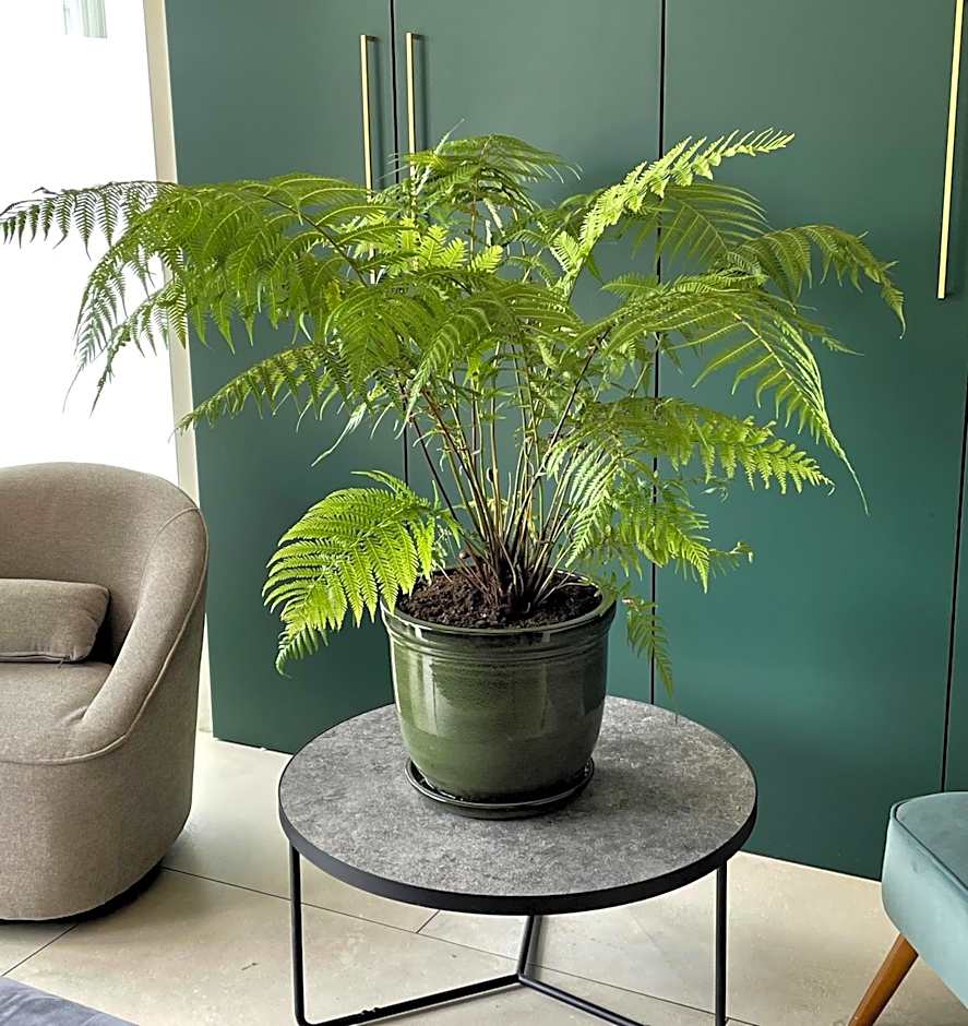 Best Western Blois Chateau